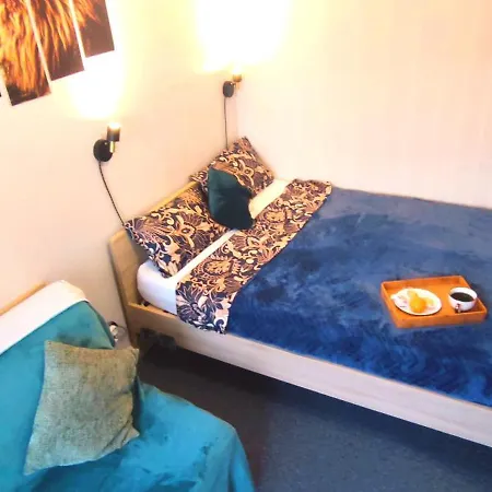 Jolie Studio Pres De Paris 19 M2 Daire *